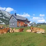 Apartment Nest Salzkammergut- Cozy In Bad Aussee, Near Hallstatt - Garden & Bbq Bad Aussee