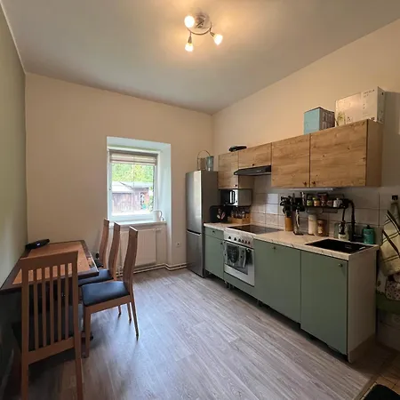 Ausseerland - Relax, Ski, Hike And Bike, Garden, Parking, Bbq, Near Hallstatt, Loser, Tauplitz And Krippenstein, Free Wi-fi And Netflix Appartement Bad Aussee