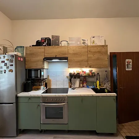 Ausseerland - Relax, Ski, Hike And Bike, Garden, Parking, Bbq, Near Hallstatt, Loser, Tauplitz And Krippenstein, Free Wi-fi And Netflix Appartement