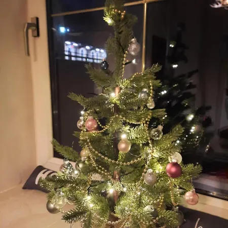 Ausseerland - Relax, Ski, Hike And Bike, Garden, Parking, Bbq, Near Hallstatt, Loser, Tauplitz And Krippenstein, Free Wi-fi And Netflix Appartement Bad Aussee