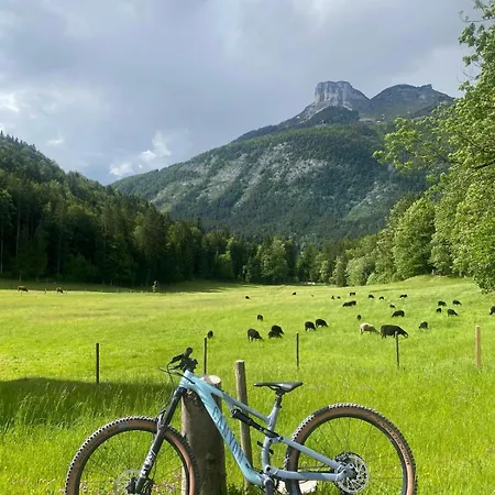 شقة Ausseerland - Relax, Ski, Hike And Bike, Garden, Parking, Bbq, Near Hallstatt, Loser, Tauplitz And Krippenstein, Free Wi-fi And Netflix باد اوسي