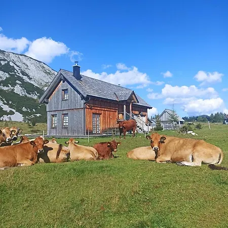 Apartment Nest Salzkammergut- Cozy In Bad Aussee, Near Hallstatt - Garden & Bbq Bad Aussee