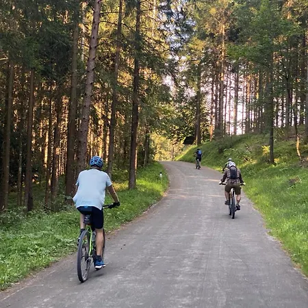 Ausseerland - Relax, Ski, Hike And Bike, Garden, Parking, Bbq, Near Hallstatt, Loser, Tauplitz And Krippenstein, Free Wi-fi And Netflix *