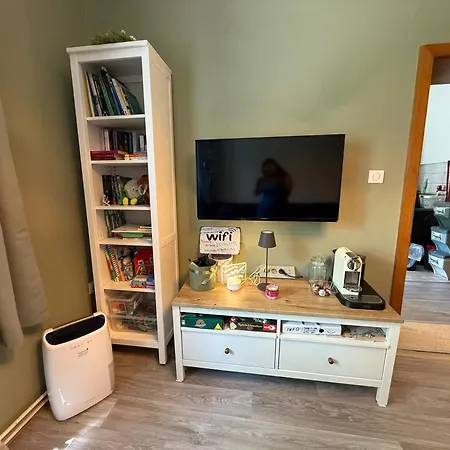 Ausseerland - Relax, Ski, Hike And Bike, Garden, Parking, Bbq, Near Hallstatt, Loser, Tauplitz And Krippenstein, Free Wi-fi And Netflix شقة