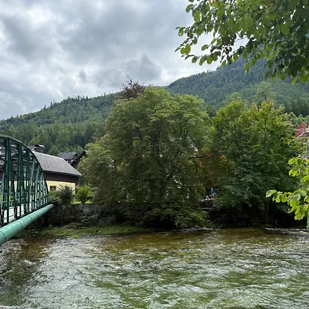Nest Salzkammergut- Cozy In Bad Aussee, Near Hallstatt - Garden & Bbq Apartament