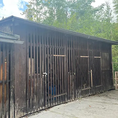 Ausseerland - Relax, Ski, Hike And Bike, Garden, Parking, Bbq, Near Hallstatt, Loser, Tauplitz And Krippenstein, Free Wi-fi And Netflix * باد اوسي