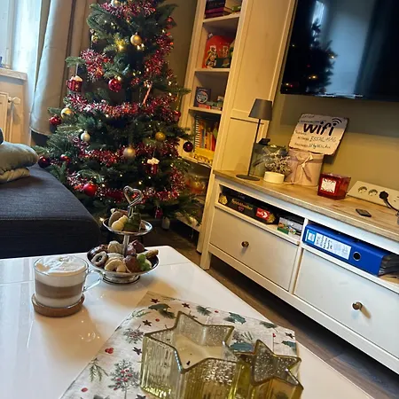 Ausseerland - Relax, Ski, Hike And Bike, Garden, Parking, Bbq, Near Hallstatt, Loser, Tauplitz And Krippenstein, Free Wi-fi And Netflix باد اوسي