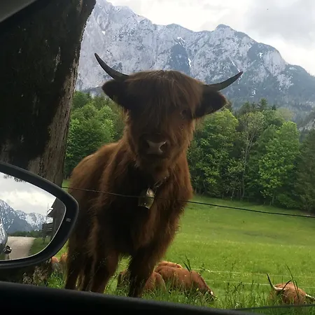 Ausseerland - Relax, Ski, Hike And Bike, Garden, Parking, Bbq, Near Hallstatt, Loser, Tauplitz And Krippenstein, Free Wi-fi And Netflix شقة