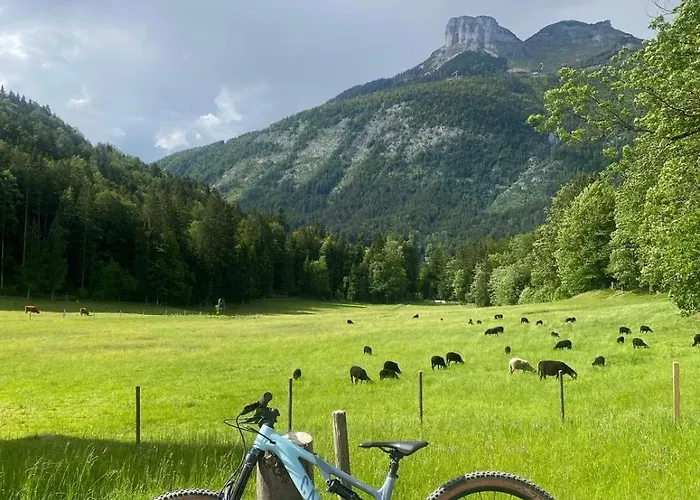 Apartmán Ausseerland - Relax, Ski, Hike And Bike, Garden, Parking, Bbq, Near Hallstatt, Loser, Tauplitz And Krippenstein, Free Wi-fi And Netflix Bad Aussee