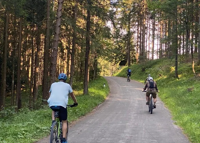 Ausseerland - Relax, Ski, Hike And Bike, Garden, Parking, Bbq, Near Hallstatt, Loser, Tauplitz And Krippenstein, Free Wi-fi And Netflix *