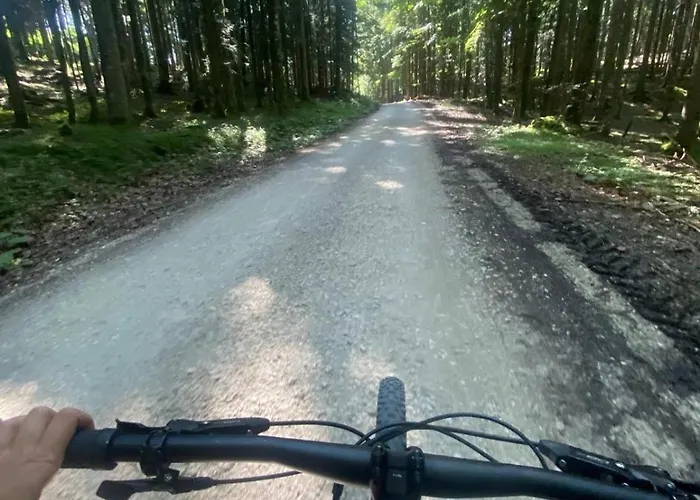 Ausseerland - Relax, Ski, Hike And Bike, Garden, Parking, Bbq, Near Hallstatt, Loser, Tauplitz And Krippenstein, Free Wi-fi And Netflix *